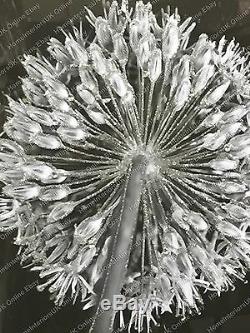 Black & White blossomed flower picture with liquid art & crystals mirror frame/B