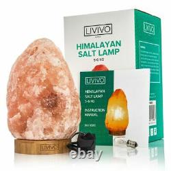 Himalayan Salt Lamp Crystal Pink Rock Salt Lamp Natural Healing 100% Genuine