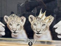 Large Lion pride of the family wall picture in mirrored frame, lion family