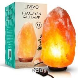 Natural Himalayan Electric Salt Lamp Crystal Salt Light 2-3/4-6kg Ioniser Relax