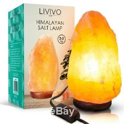 Natural Himalayan Electric Salt Lamp Crystal Salt Light 2-3/4-6kg Ioniser Relax