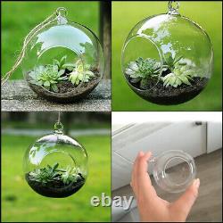 6-36PCS Suspension de vase en verre en forme de boule pour plantes succulentes, terrariums, et pots à fleurs.
