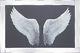 Image D'ailes D'ange Avec Des Paillettes Dans Un Cadre En Miroir, Photo D'art D'ailes D'ange