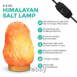 Lampe De Sel De L’himalaya Crystal Pink Rock Salt Lamp Natural Healing 100% Genuine New